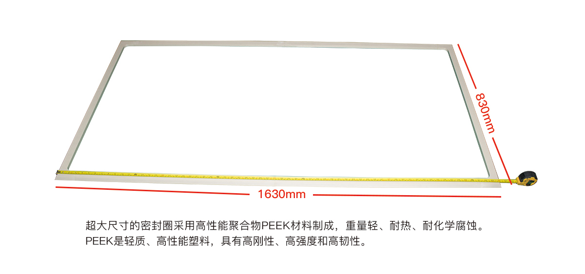 超大尺寸PEEK密封圈